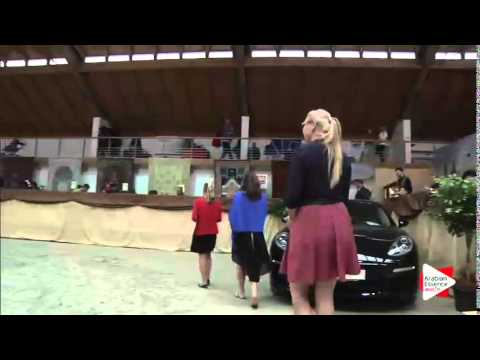 Prague Intercup 2015 - Senior Males Championship