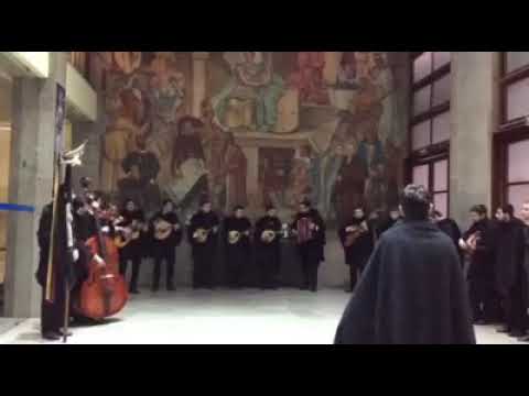 Estudantina Universitária de Coimbra cantando para Adriana Calcanhoto