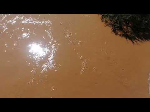 YA ESTA BAJANDO el nivel del agua del río mayo en navojoa sonora