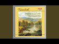 Symphony No. 5 in D Major, Op. 56, "L'Allegro ed il Penseroso": IV. Allegro molto
