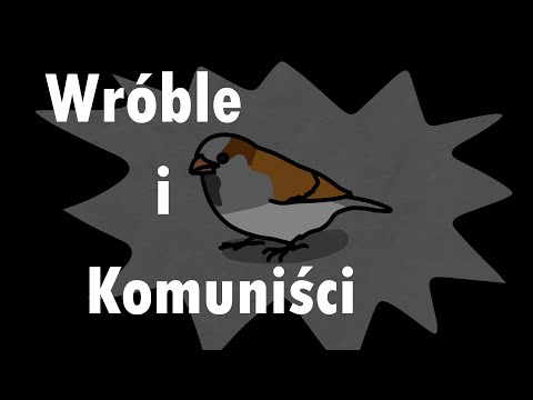 Likwidacja wróbli w Chinach - Niedzielna Szkoła Komuchów