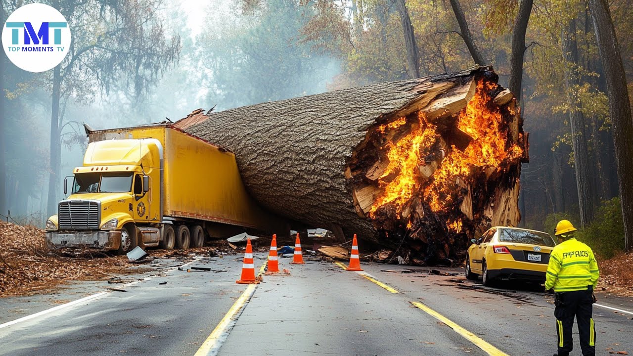 Extremely dangerous monster wood truck driving skills | climbing | heavy load