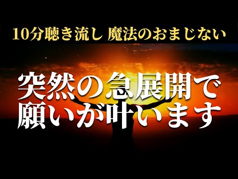 アリに対する家庭療法:本当に効果があるものは何でしょうか? トピックス