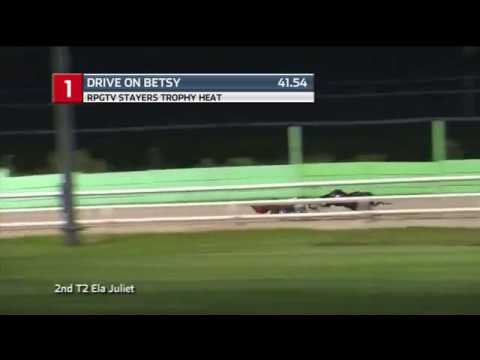 2019 RPGTV STAYERS TROPHY - HEAT 2 - T1 DRIVE ON BETSY