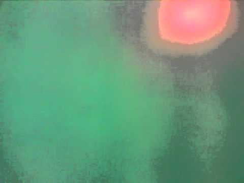 Fisksignaler på Naturhistoriska Riksmuséet