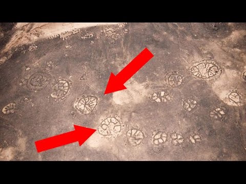 7 Things We Don't Know About Earth