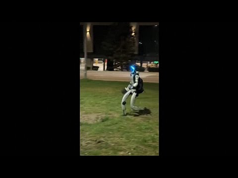 Video Thumbnail: Humanoid robot chases wild boars in the Polish capital Warsaw