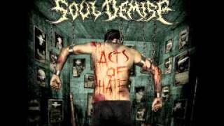 Soul Demise - Commit Suicide