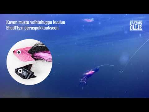 Kurkistus pinnan alle - ShadFly