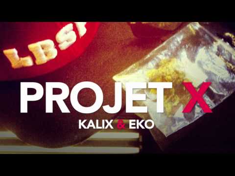 Kalix & Eko - Projet X (Extrait du projet #LBSPR)