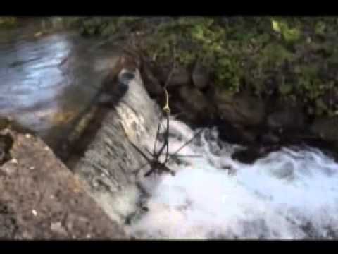 ONDA TG 9.01.2013 - PONTE VIA GORIZIA DICHIARAZIONE PUBBLICA UTILITA'