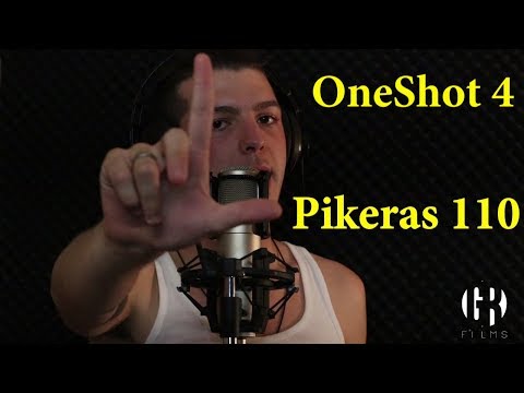ONESHOT #4: PIKERAS 110
