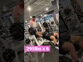 295lbs x 6 #gorillamind #moreplatesmoredates #natural #powerlifter #turkesterone #usapl