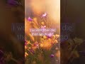Until I Found You WhatsApp Status Stephen Sanchez Em Beihold Lyrical Video Slowed Reverb
