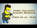 Wake me up - Avicii - Walter Alexandre Acoustic ...
