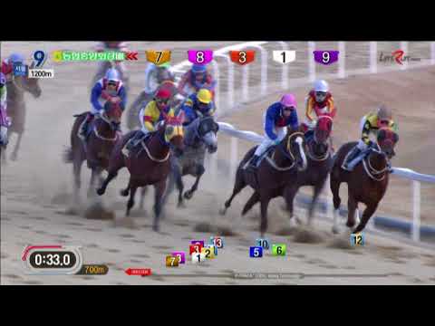 Nonghyup Chairman's Trophy 2017 - P.K. Party