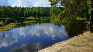 Hiking in Nuuksio National Park and Kayaking in Kasnäs | Finland Vlog Day 3
