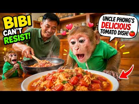 Bibi Monkey Channel