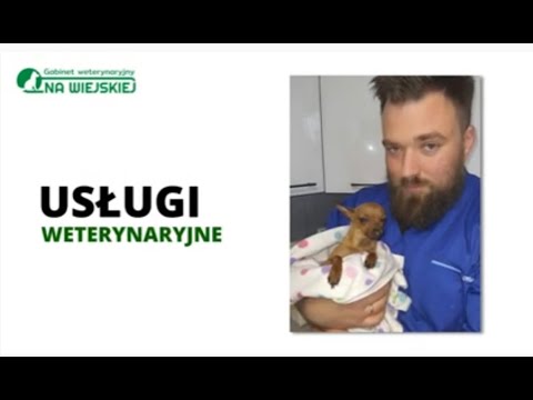 Zobacz filmy, Na Wiejskiej Gabinet Weterynaryjny Marcin Marciniak, Brodnica