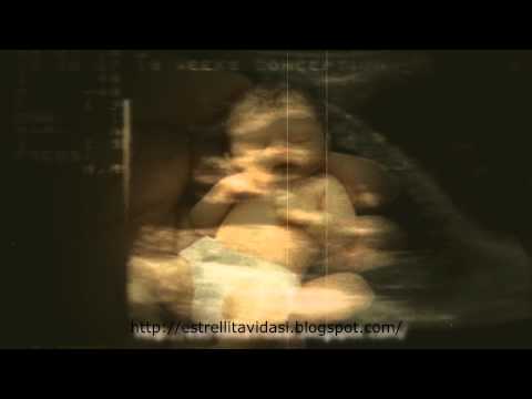 Padre F.Pavone - La más básica justicia