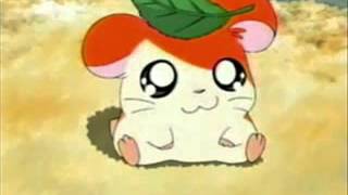 Hamtaro , piccoli criceti grandi avventure SIGLA COMPLETA