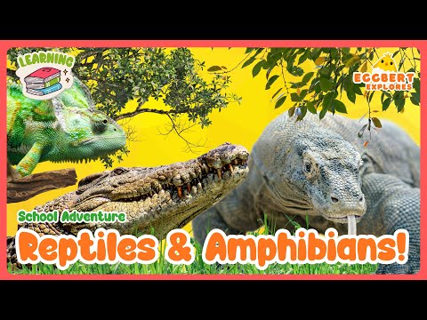 Guess the Animal Sound: Reptiles & Amphibians for Kids | Fun & Educational Learning