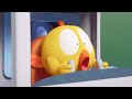 NEW Chicky The Pilot Where S Chicky Cartoon Collection In English For Kids New Episodes