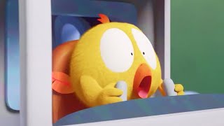 NEW Chicky the Pilot | Where's Chicky? | Cartoon Collection in English for Kids | New episodes