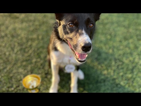 Czech National Championship 2023