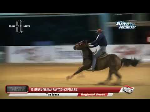 Captiva Six x Renan Gruman - 17.026 - Regional Oeste - Tira-teima 2018