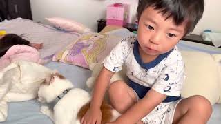 猫のりんちゃんと男の子ソーマの朝の様子　#猫のいる暮らし