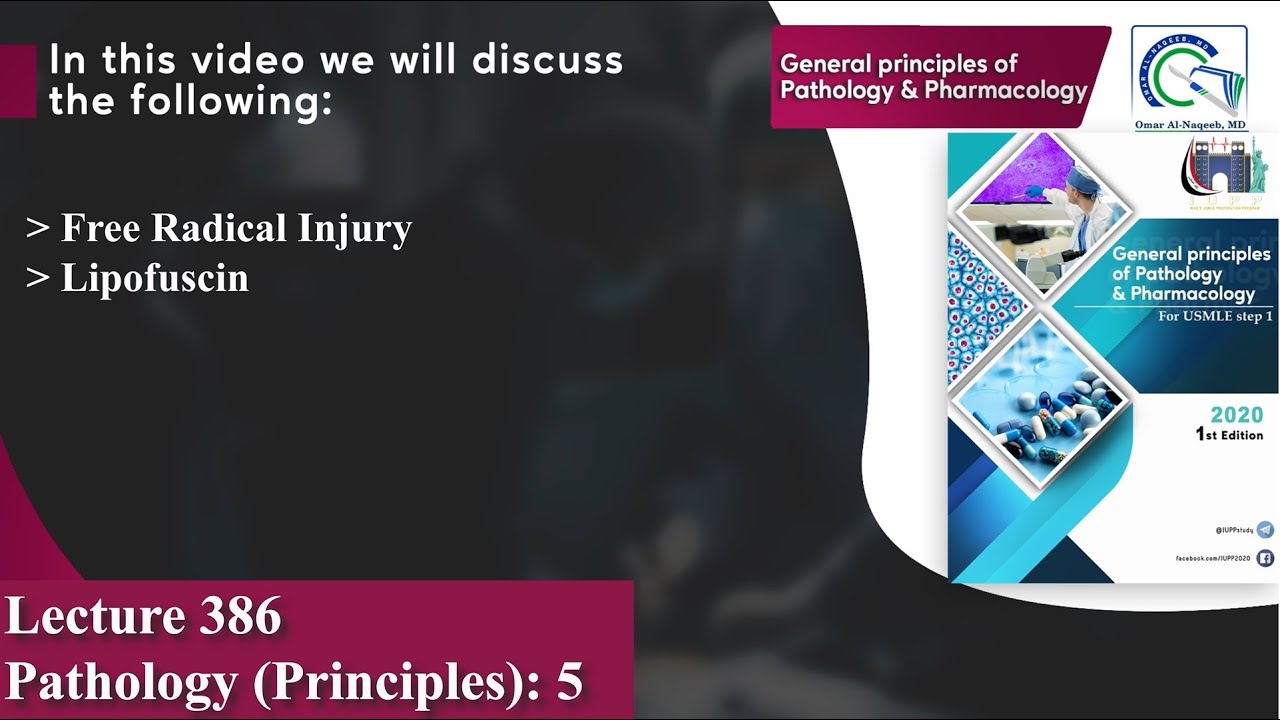 Free Radical Injury | Lipofuscin