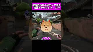 【VALORANT】挨拶代わりの犬モノマネを披露するタルレミ・エラ【切り抜き】