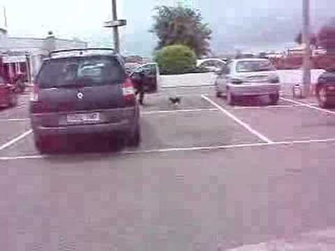 Mony Y NuestraS ocurrenciiaS...