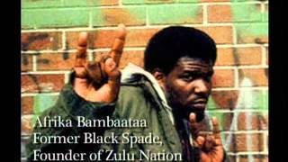 From Mambo to Hip-Hop: A South Bronx Tale