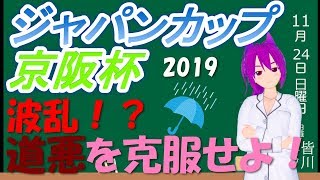 【競馬予想】ジャパンカップ、京阪杯 2019 今年は荒れそう！？道悪を克服せよ！！！