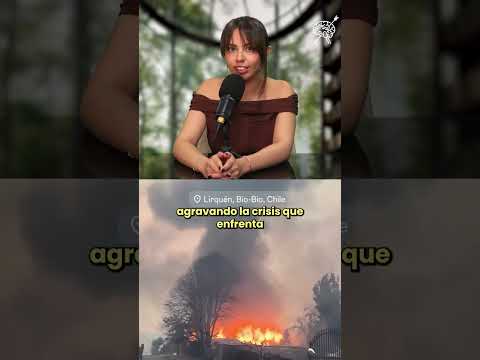 Incendio en Penco afecta zonas clave donde se proyecta la instalación de una minera