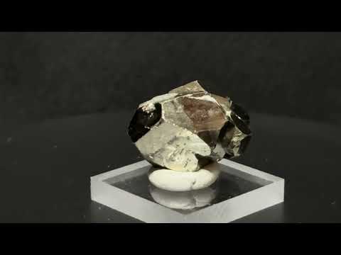 Minerals #828: Pyrite, Chivor Mine, Colombia. 第２回銀座ミネラルマルシェ. 2026. 1.31.