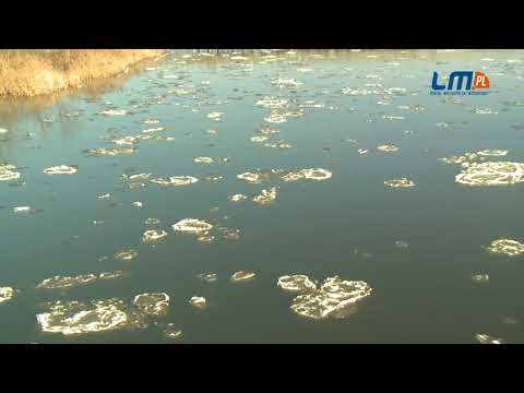 K. Gmerek wyjaśnia jak powstaje śryż i kra. Dzisiaj na Warcie!