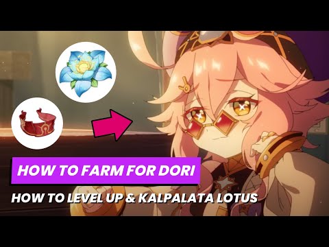 HOW TO FARM MATERIALS FOR DORI - Kalpalata Lotus Farm Route & Boss Tips🌷Genshin Impact Sumeru 3.0