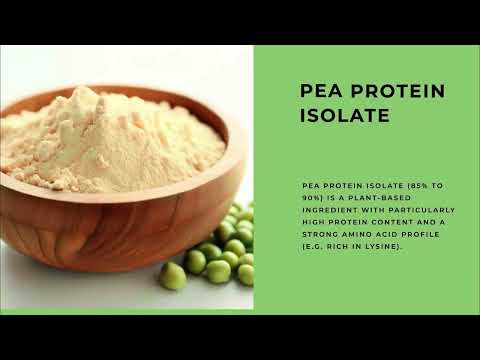 Yellow Pea Protein