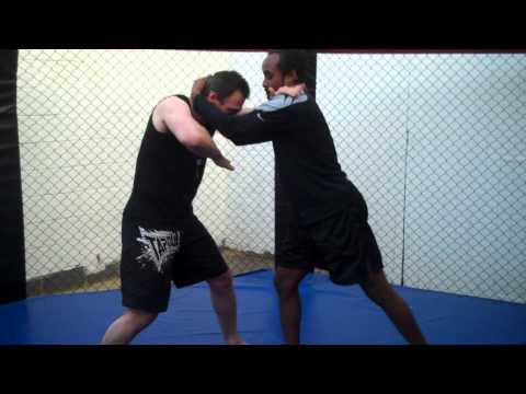 'Snake coils round the branch' MMA technique.