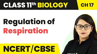 Regulation of Respiration - Breathing and Exchange of Gases | Class 11 Biology