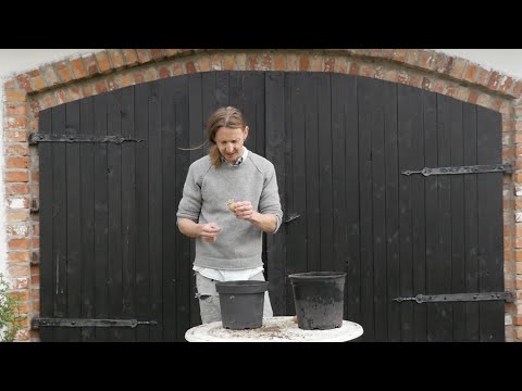 Odla potatis på balkongen - Trädgårdshacks med GardenR