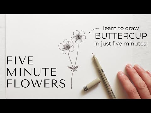 Five Minute Flowers: BUTTERCUP | Learn to draw flowers in under five minutes!