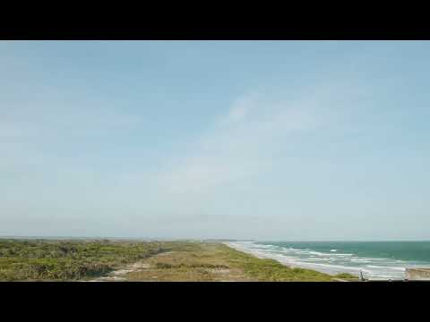 Greenery by the coastline Video Footage