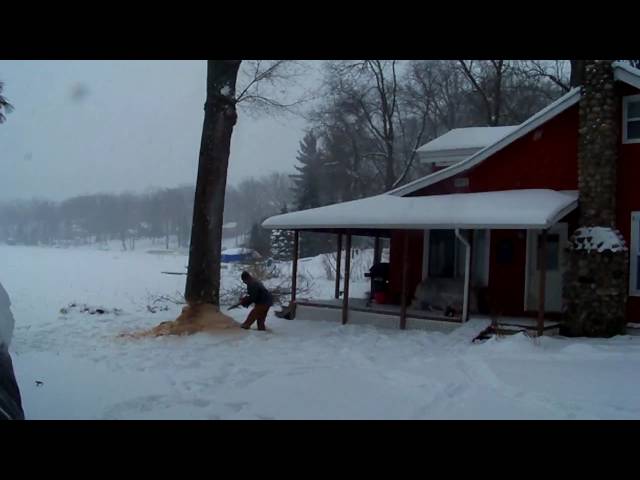 ACT Tree Felling