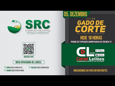 Canalleiloes.com  | LEILÃO GADO DE CORTE SRC LEILÕES - COLMÉIA - TO | 05/12/2023