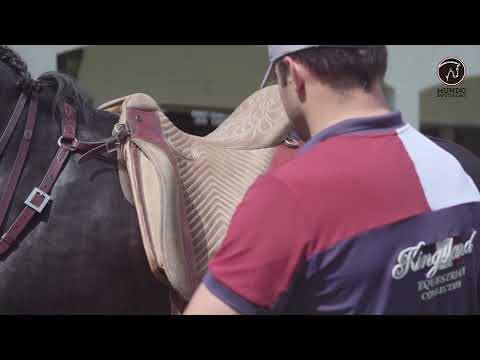 Saddle Fitting | Gilberto Filipe | www.omundodaequitacao.com