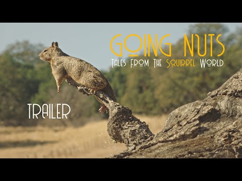 Going Nuts - Tales from the Squirrel World (Trailer)